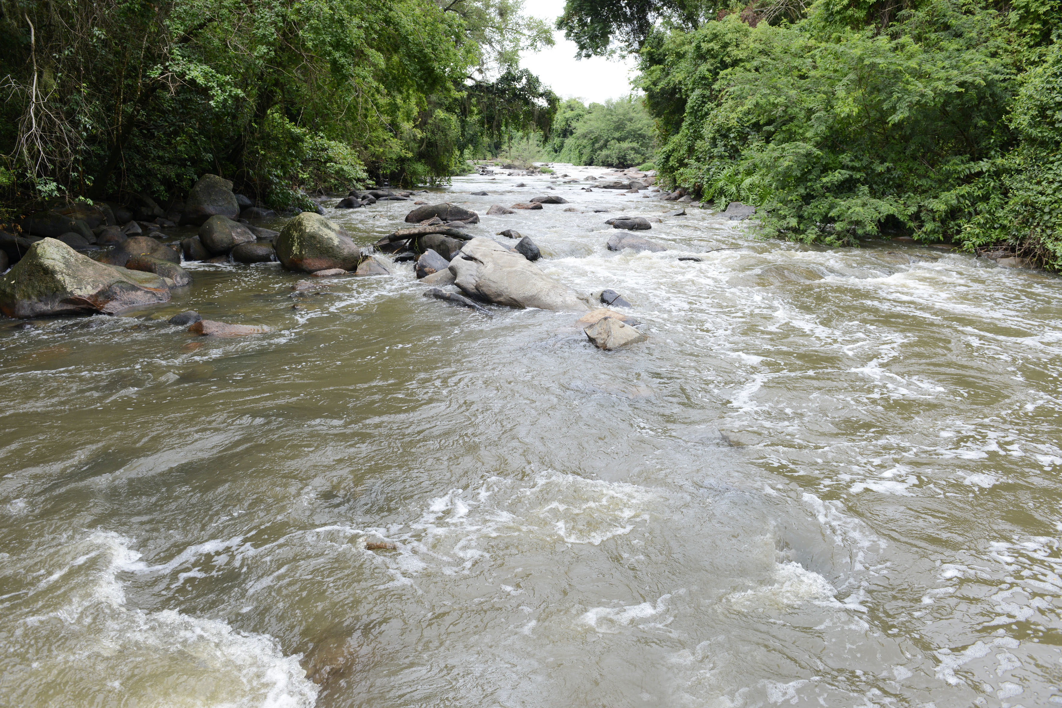 essa_DSC1019