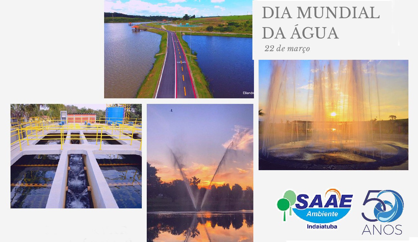 saae 222